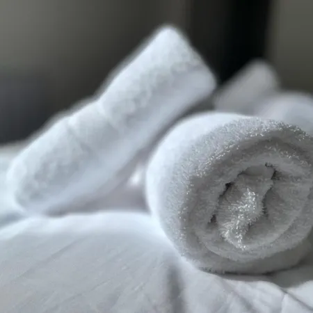 Le Repere Secret De Nestor - Sonights * Château-du-Loir