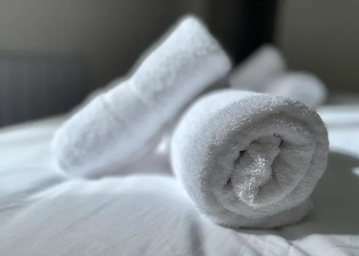 Le Repere Secret De Nestor - Sonights * Château-du-Loir